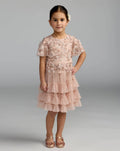 Girls Pink Embellished Flutter Sleeve Ruffle Dress