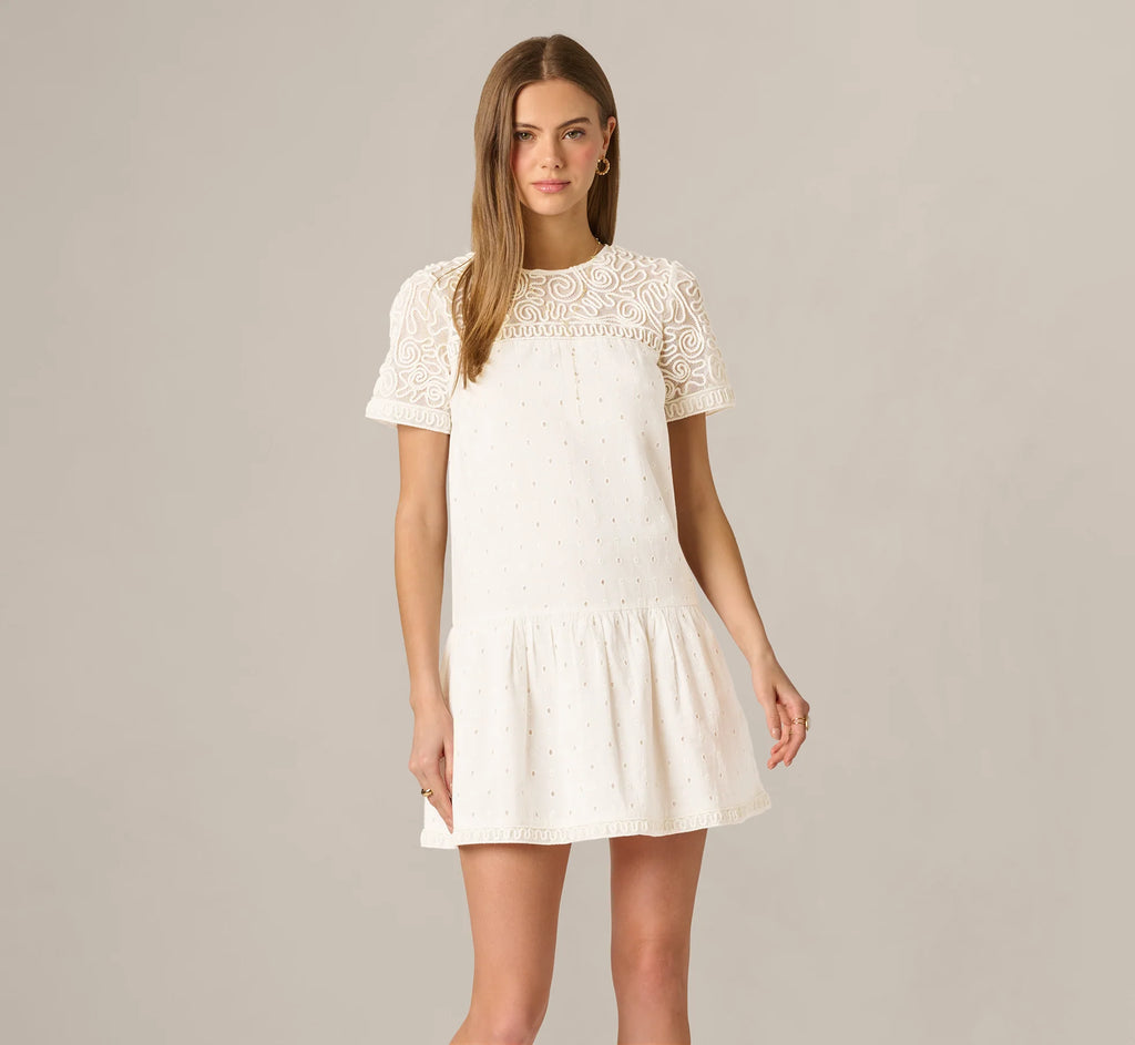 Short Sleeve Drop Waist Cotton Eyelet Shift Dress In Ivory