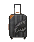 ILLUCHAINS JETSETTER CARRY-ON LUGGAGE