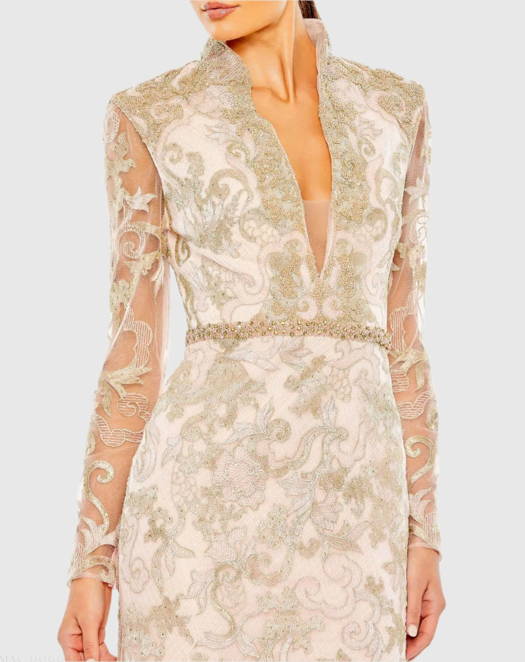 Pink Queen Anne Lace Long Sleeve V-Neck Trumpet  Gown